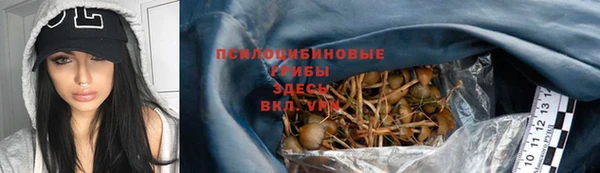 spice Арсеньев